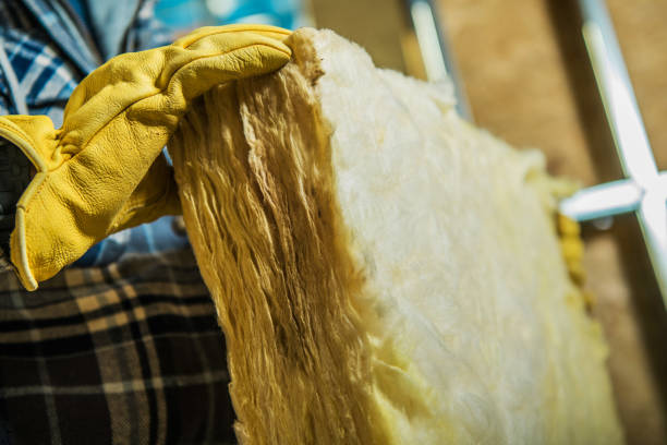 Trusted Plainview, NE Insulation Contractor Experts