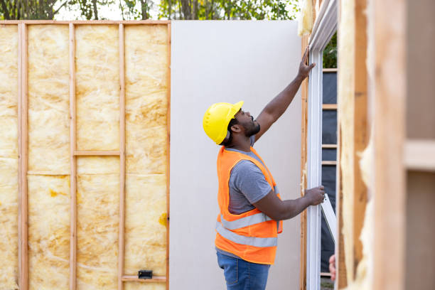 Best Professional Insulation Contractor  in Plainview, NE