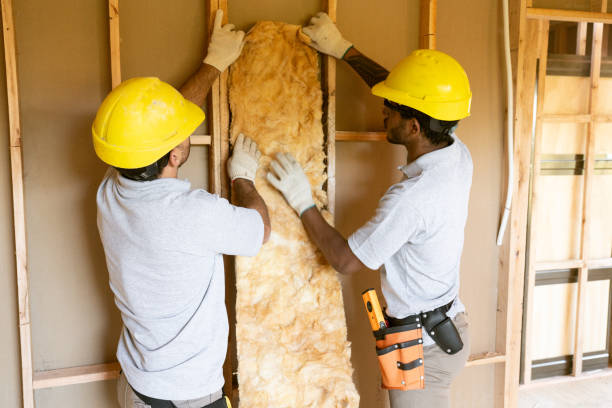 Best Soundproof Insulation Installation  in Plainview, NE