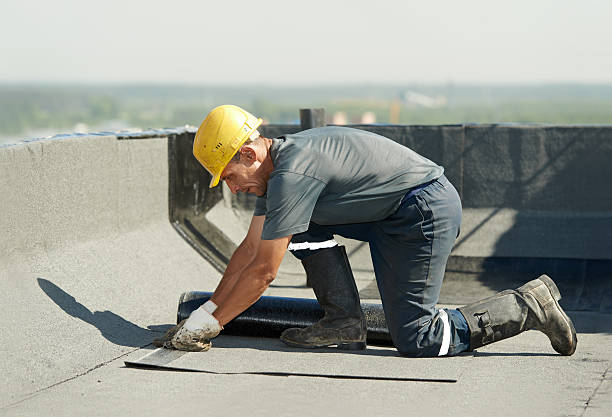 Best Insulation Installation Cost  in Plainview, NE