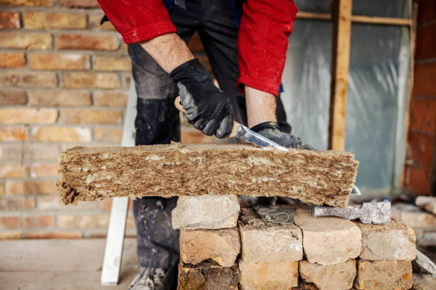 Best Insulation Removal  in Plainview, NE